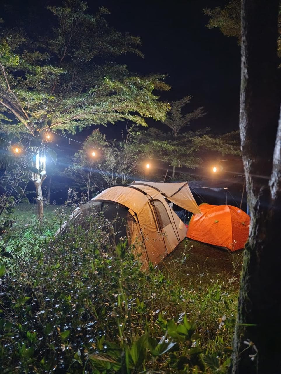Paket Glamping B